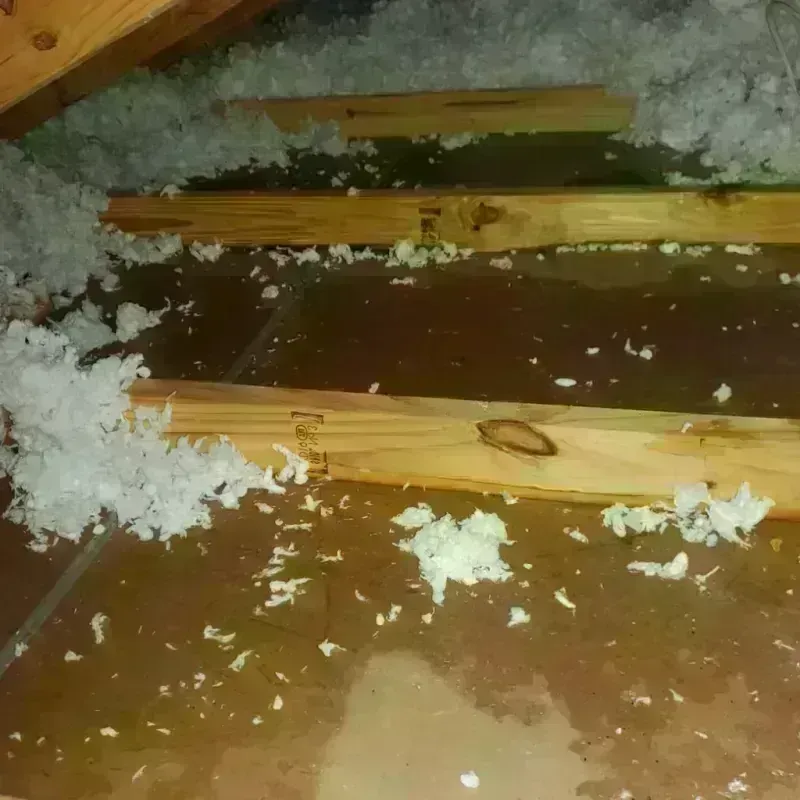 Attic Water Damage in Golden Meadow, LA